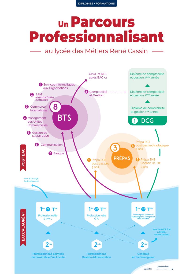 organigramme des formations